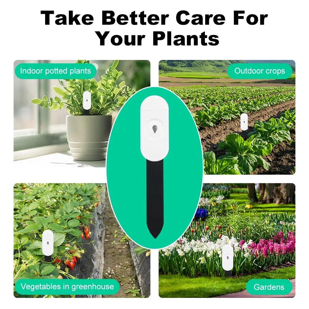 Tuya ZigBee Soil Moisture & Temp Sensor