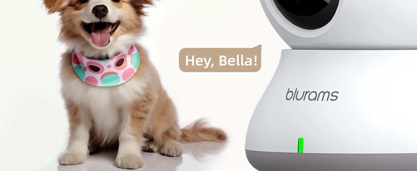 Blurams 2K 360° Indoor WiFi Camera
