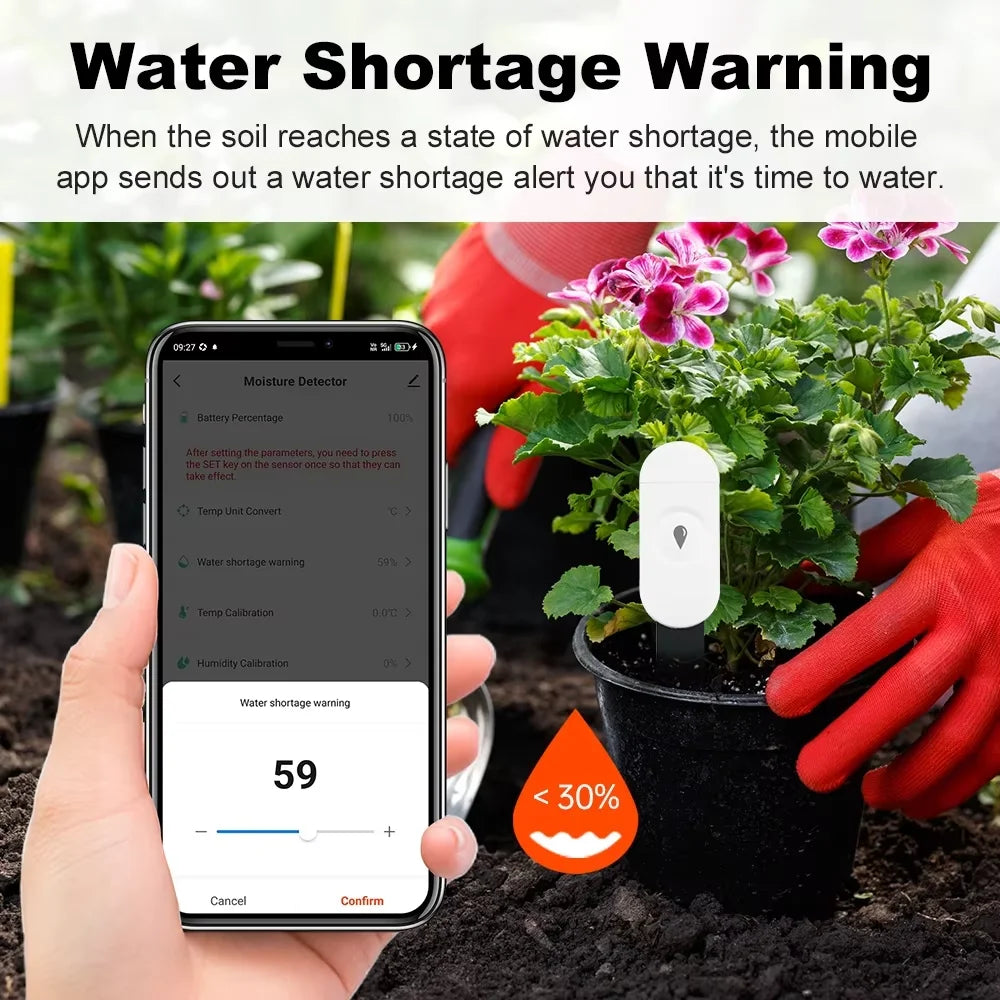 Tuya ZigBee Soil Moisture & Temp Sensor